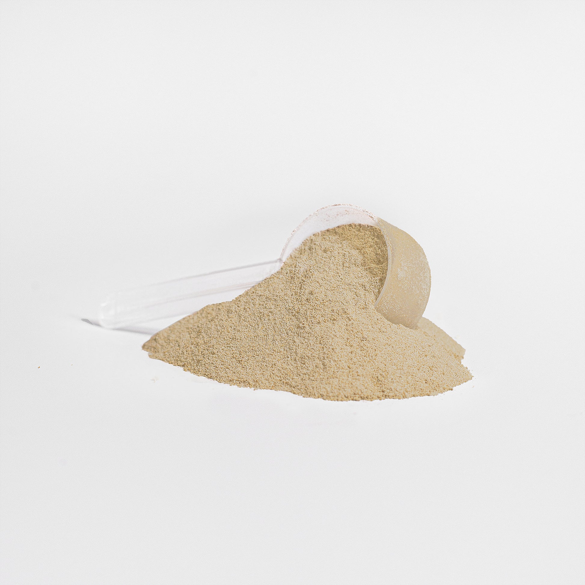 Whey Protein Isolate (Vanilla)-AMAZON FACTORY