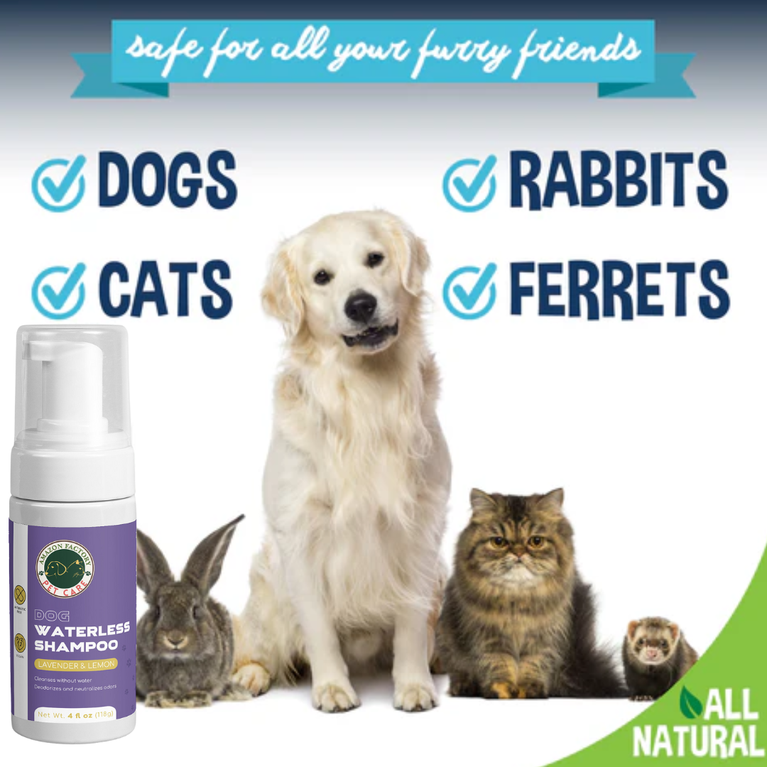 Dog Waterless Shampoo-AMAZON FACTORY