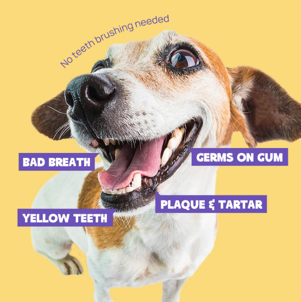 Dog Dental Cleaner Wipes-AMAZON FACTORY