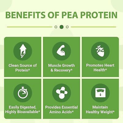Vegan Pea Protein Isolate (Chocolate)-AMAZON FACTORY