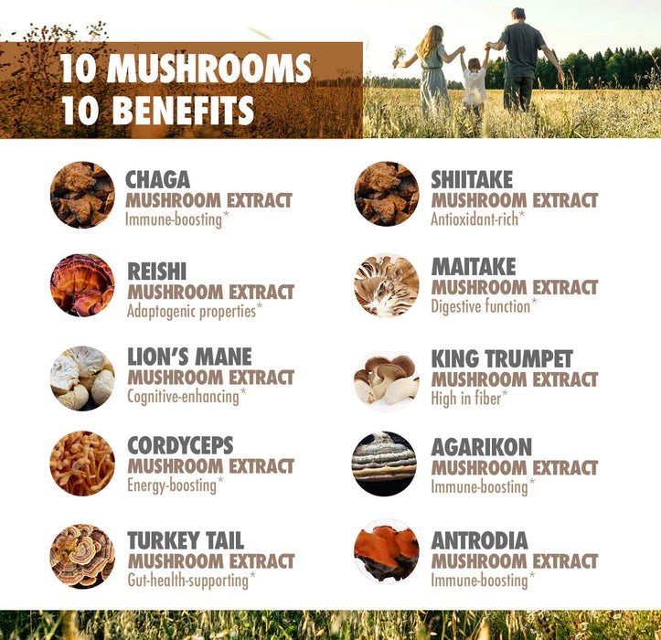 Mushroom Extract Complex-AMAZON FACTORY