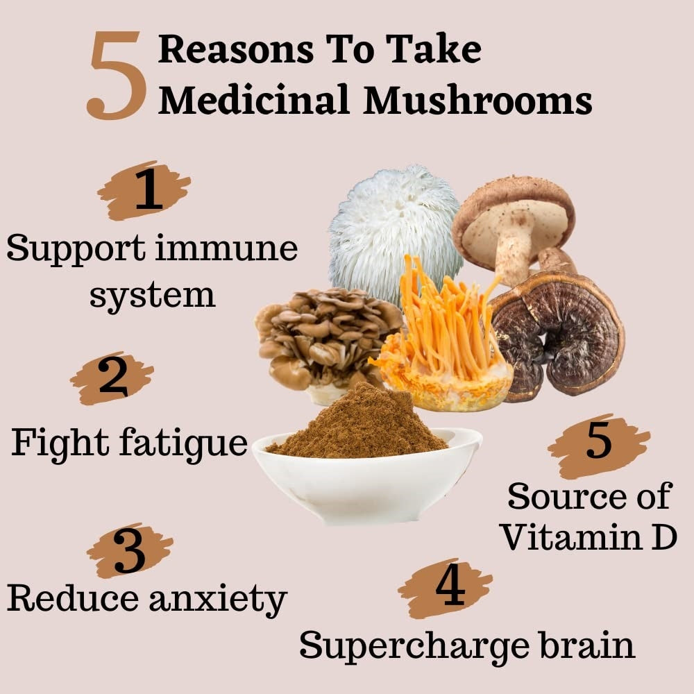Mushroom Extract Complex-AMAZON FACTORY