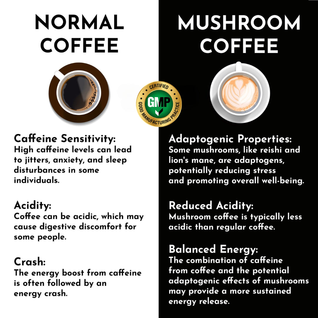 Mushroom Coffee Fusion - Lion’s Mane & Chaga 4oz-AMAZON FACTORY