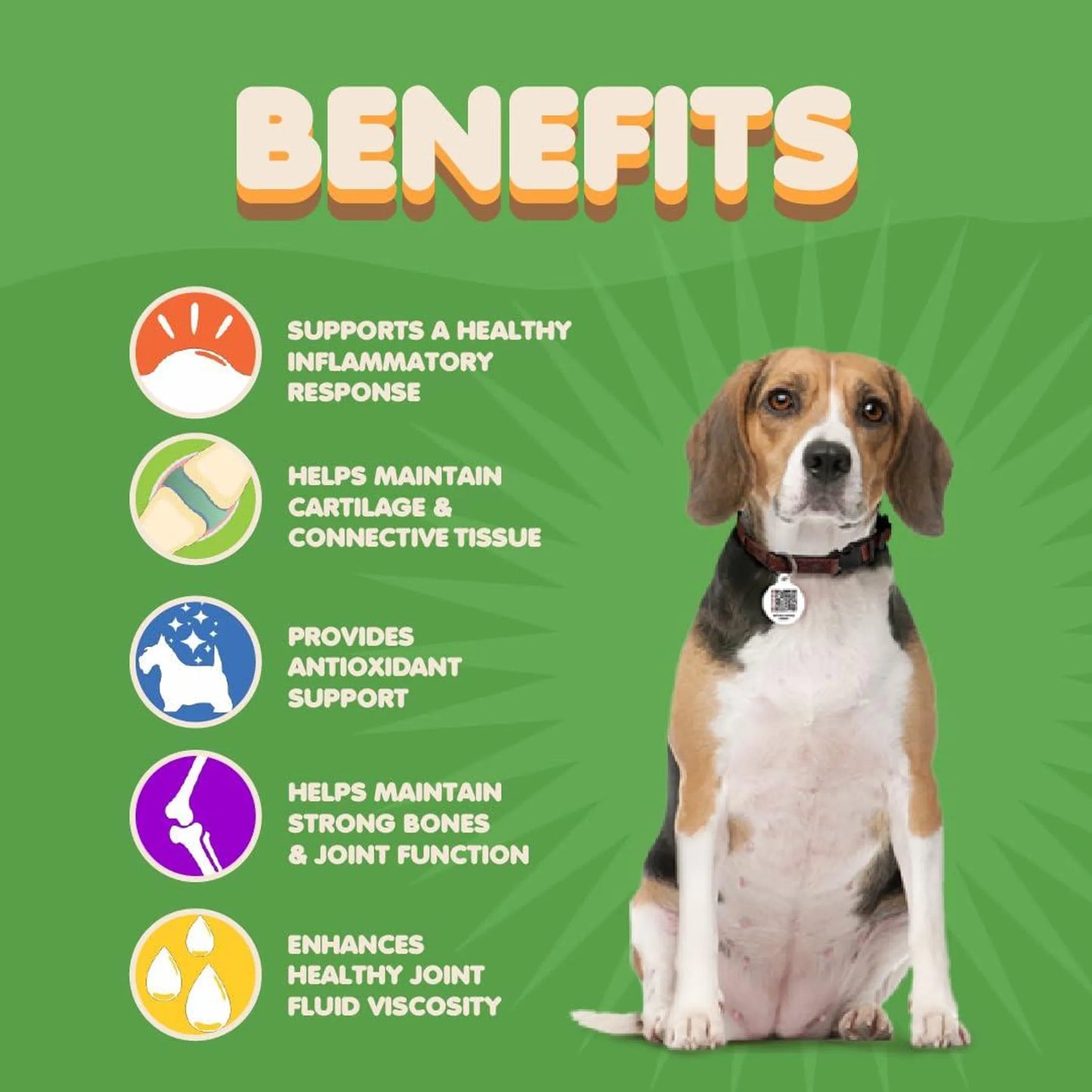 Amazon Factory'sDog Hip and Joint Supplement with Glucosamine Turmeric for Dogs
