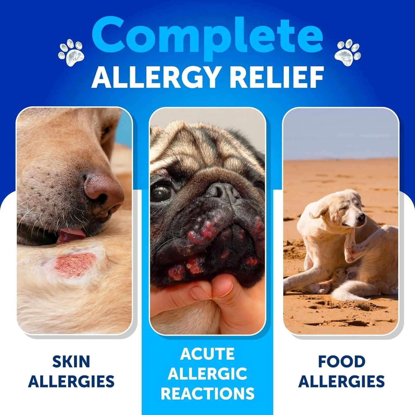 Amazon Factory's-Probiotics for Dogs Support Gut Health Itchy Skin Allergies
