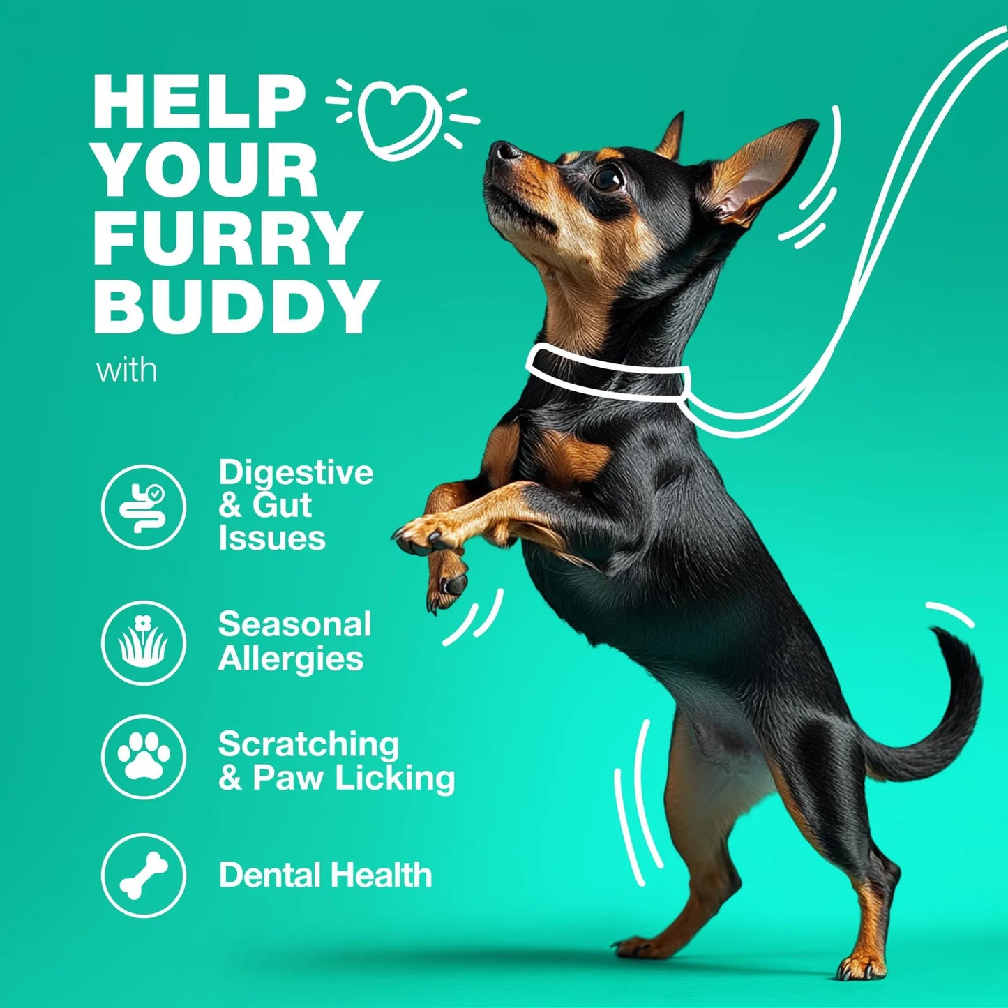 Amazon Factory's, Probiotics for Dogs Gut Health Digestion