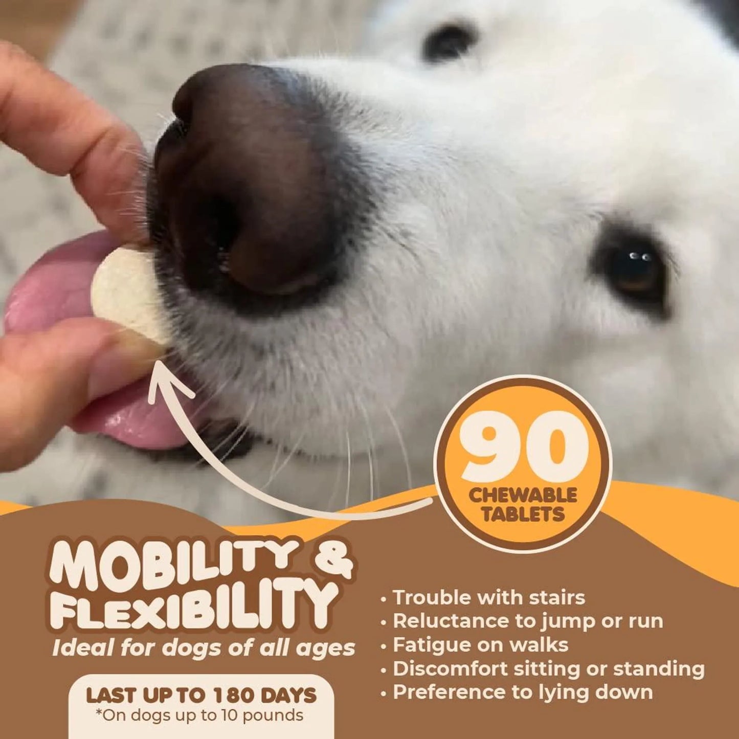 Amazon Factory's,  Joint Supplement for Dogs