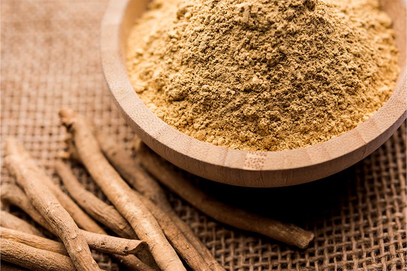 Top 12 Ashwagandha Benefits - AMAZON FACTORY