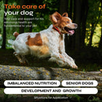 15 in 1 Multivitamin Vet Formulated For Dogs-AMAZON FACTORY