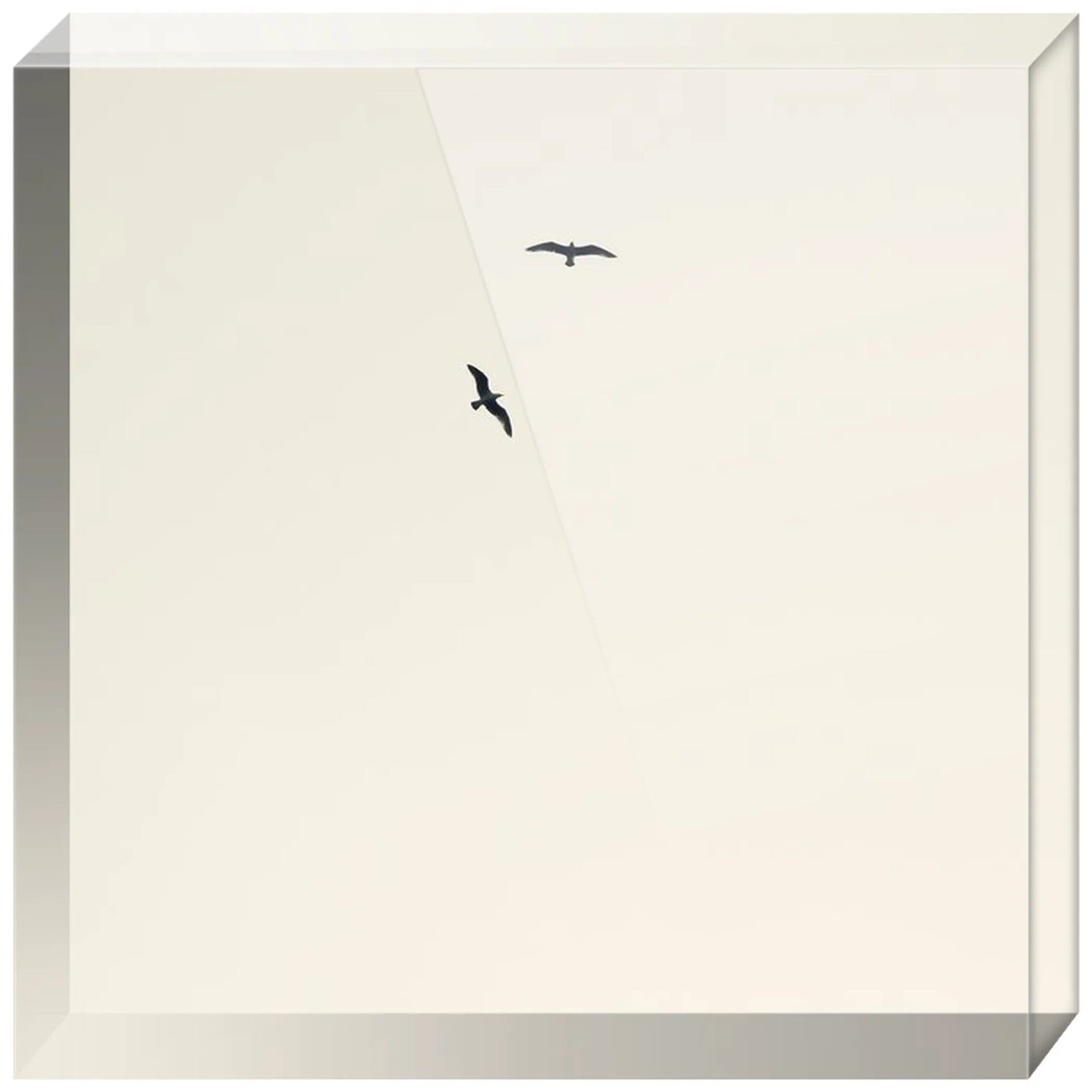 Joseph Regan Art Acrylic Blocks - Pack Of: 1