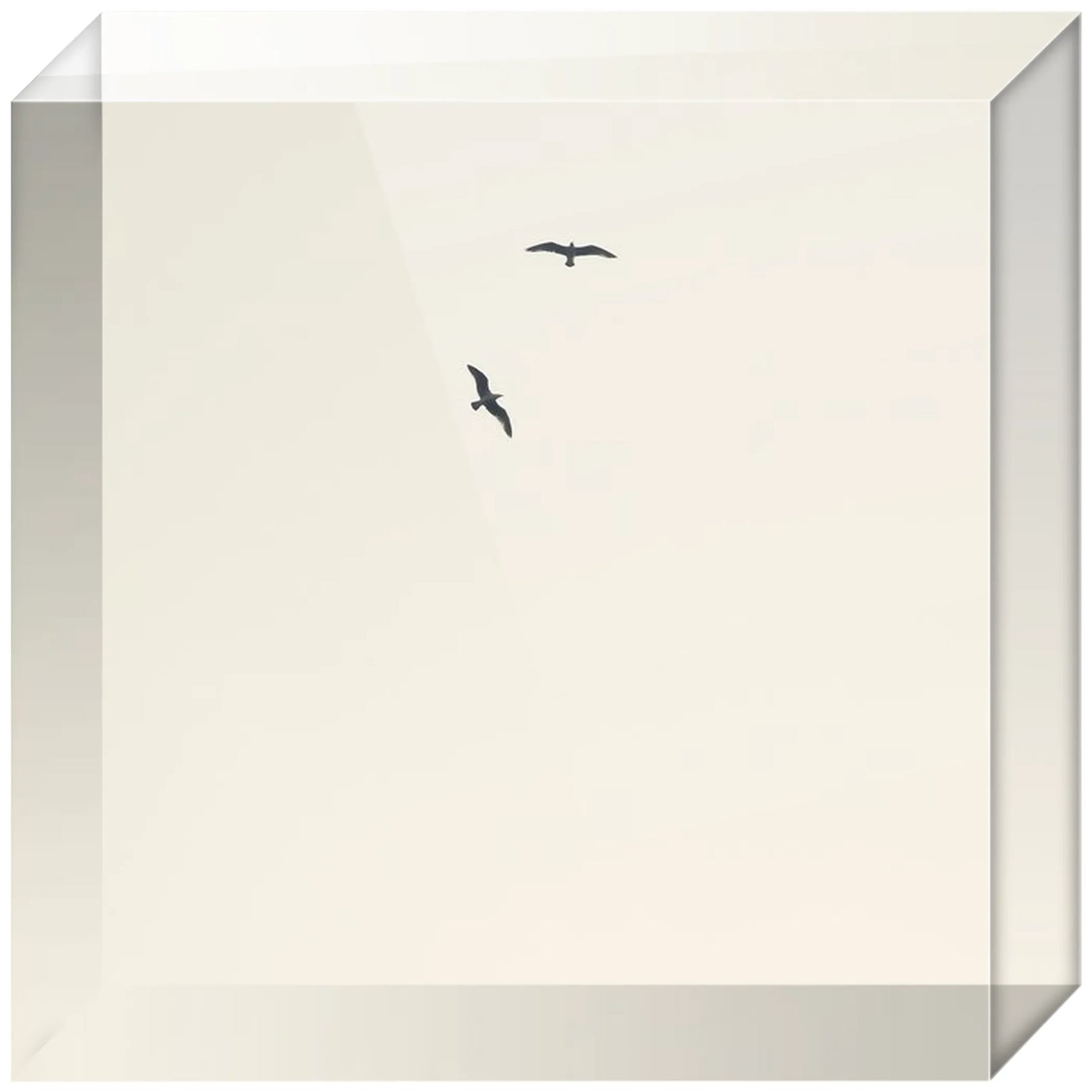 Joseph Regan Art Acrylic Blocks - Pack Of: 1