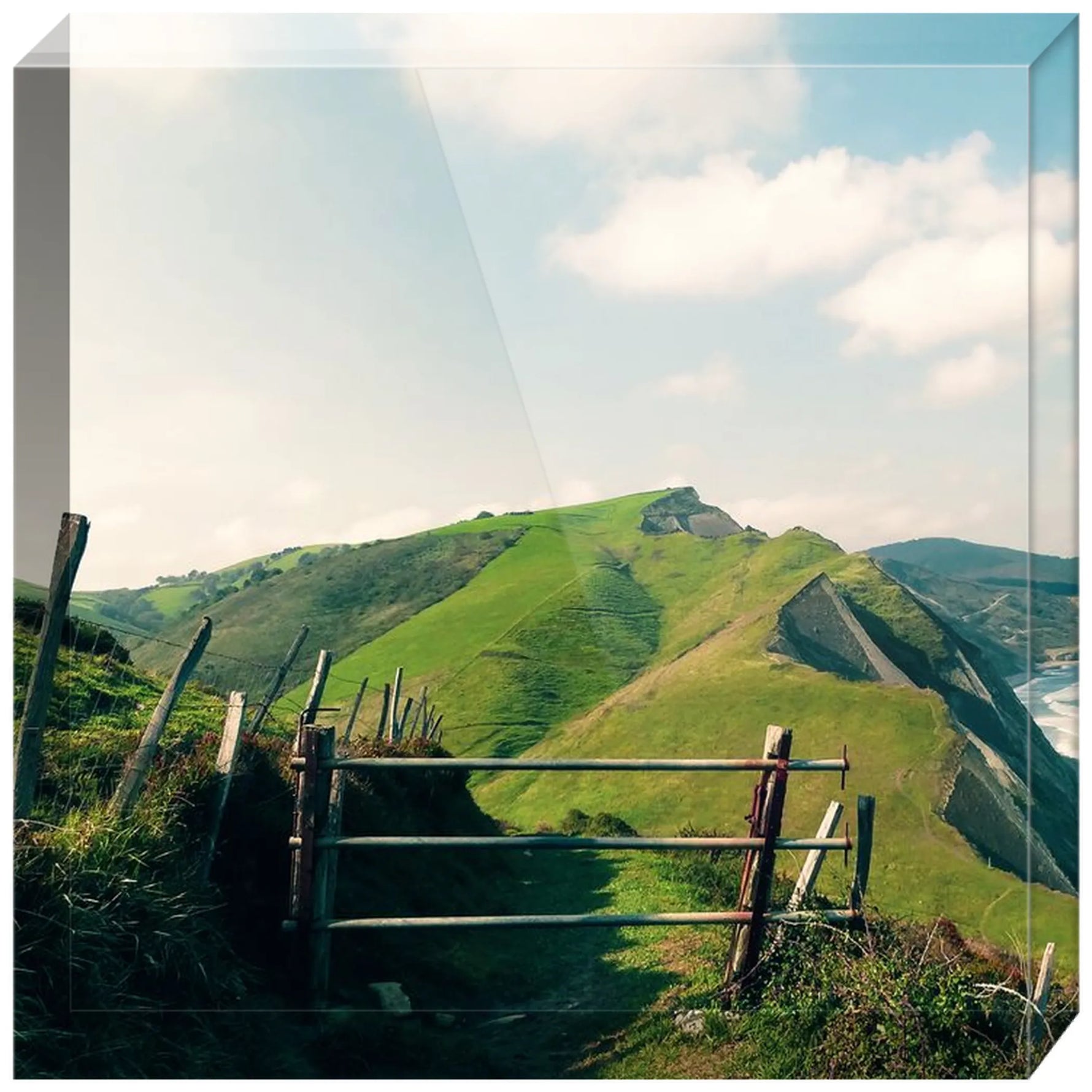 Joseph Regan Art Acrylic Blocks - Pack Of: 1