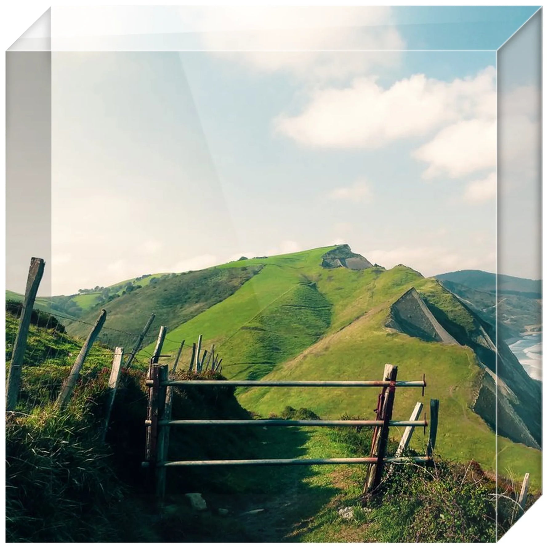 Joseph Regan Art Acrylic Blocks - Pack Of: 1