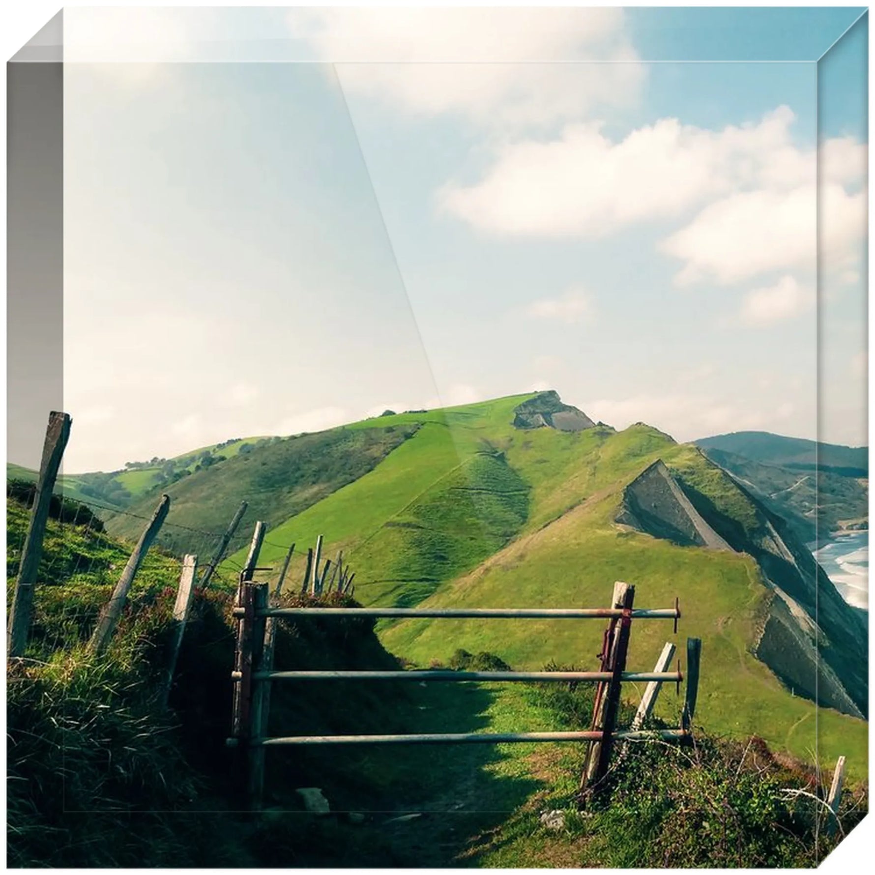 Joseph Regan Art Acrylic Blocks - Pack Of: 1