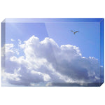 Joseph Regan Art Acrylic Blocks - Pack Of: 1