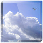 Joseph Regan Art Acrylic Blocks - Pack Of: 1