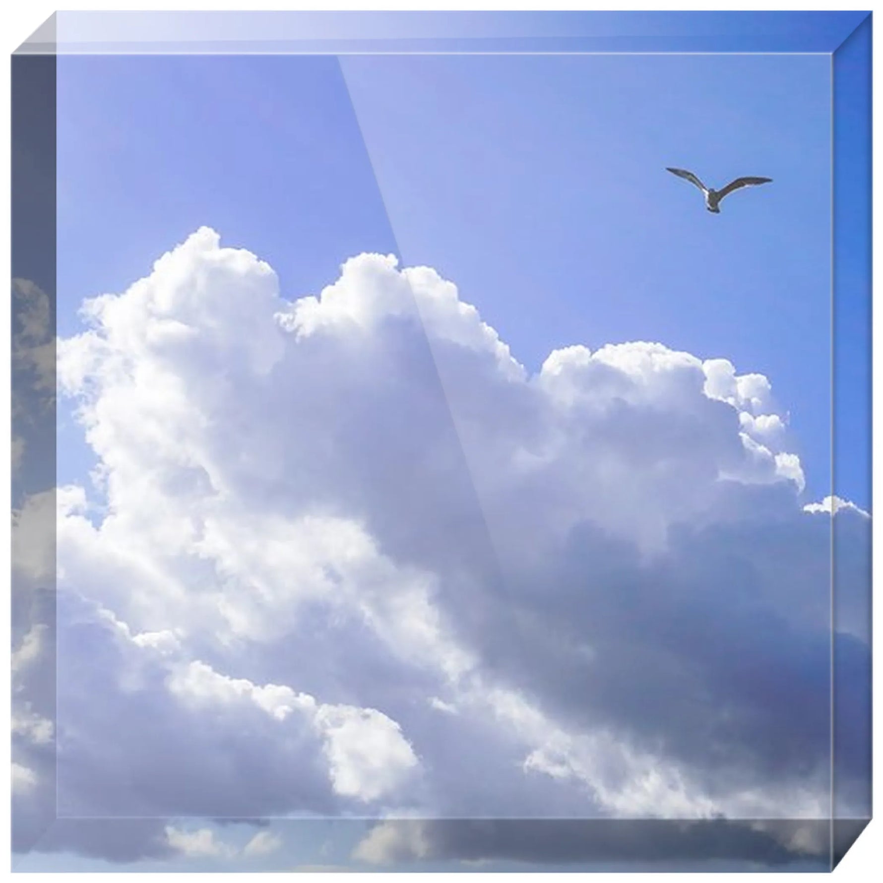 Joseph Regan Art Acrylic Blocks - Pack Of: 1