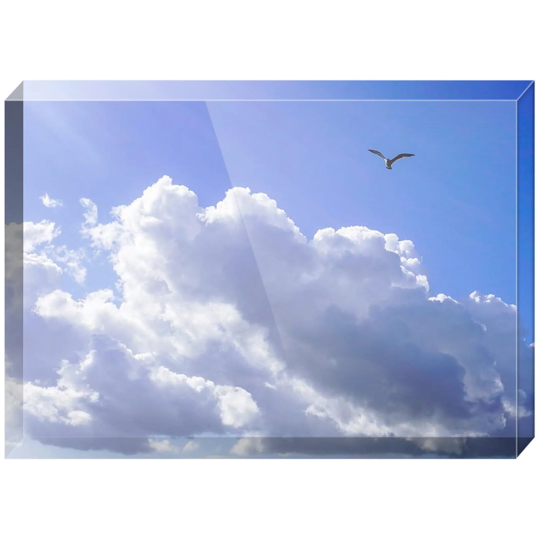 Joseph Regan Art Acrylic Blocks - Pack Of: 1