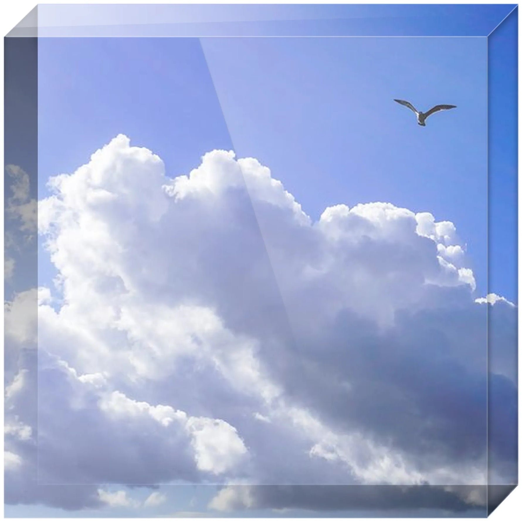 Joseph Regan Art Acrylic Blocks - Pack Of: 1