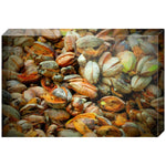 Joseph Regan Art Acrylic Blocks - Pack Of: 1