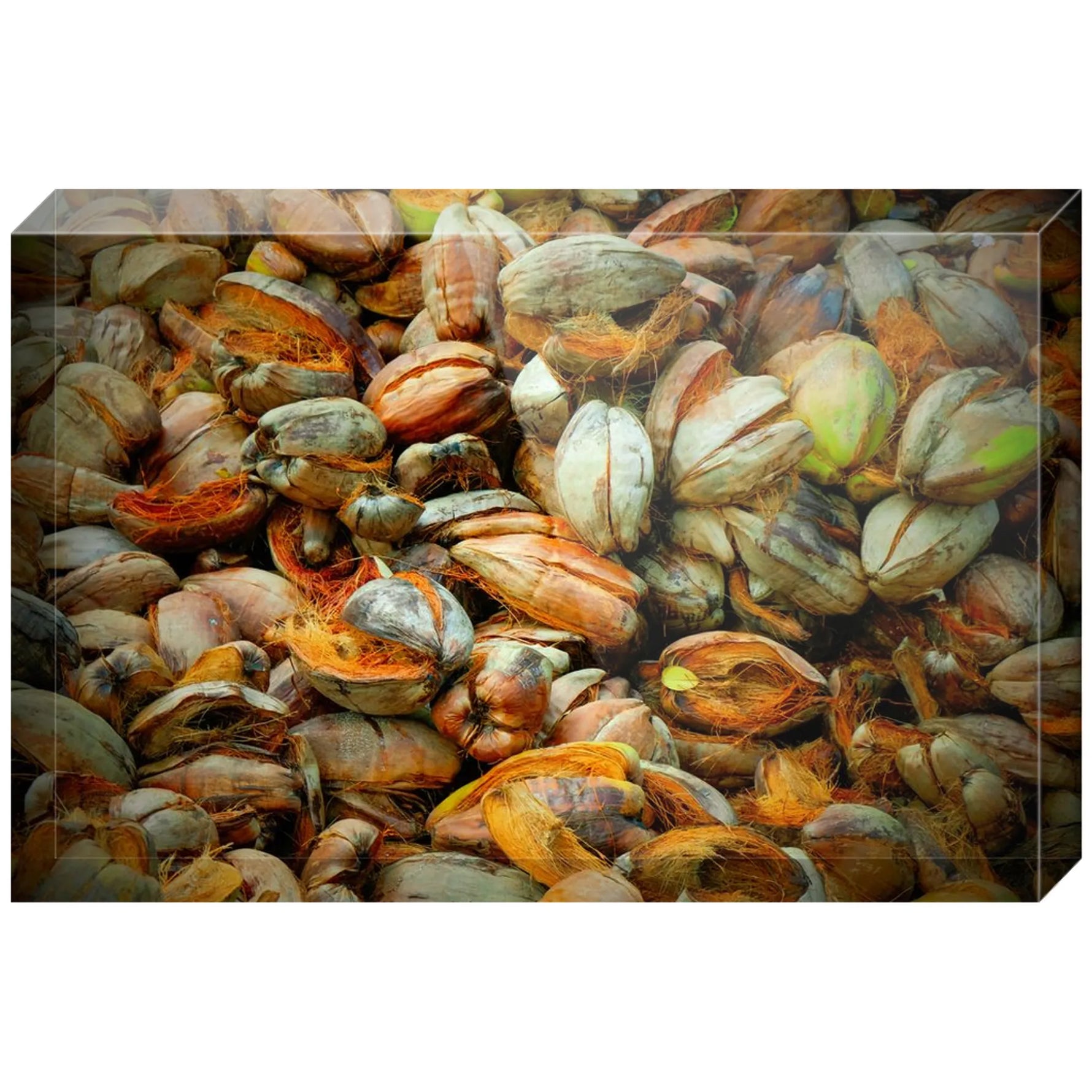 Joseph Regan Art Acrylic Blocks - Pack Of: 1