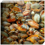 Joseph Regan Art Acrylic Blocks - Pack Of: 1