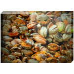 Joseph Regan Art Acrylic Blocks - Pack Of: 1