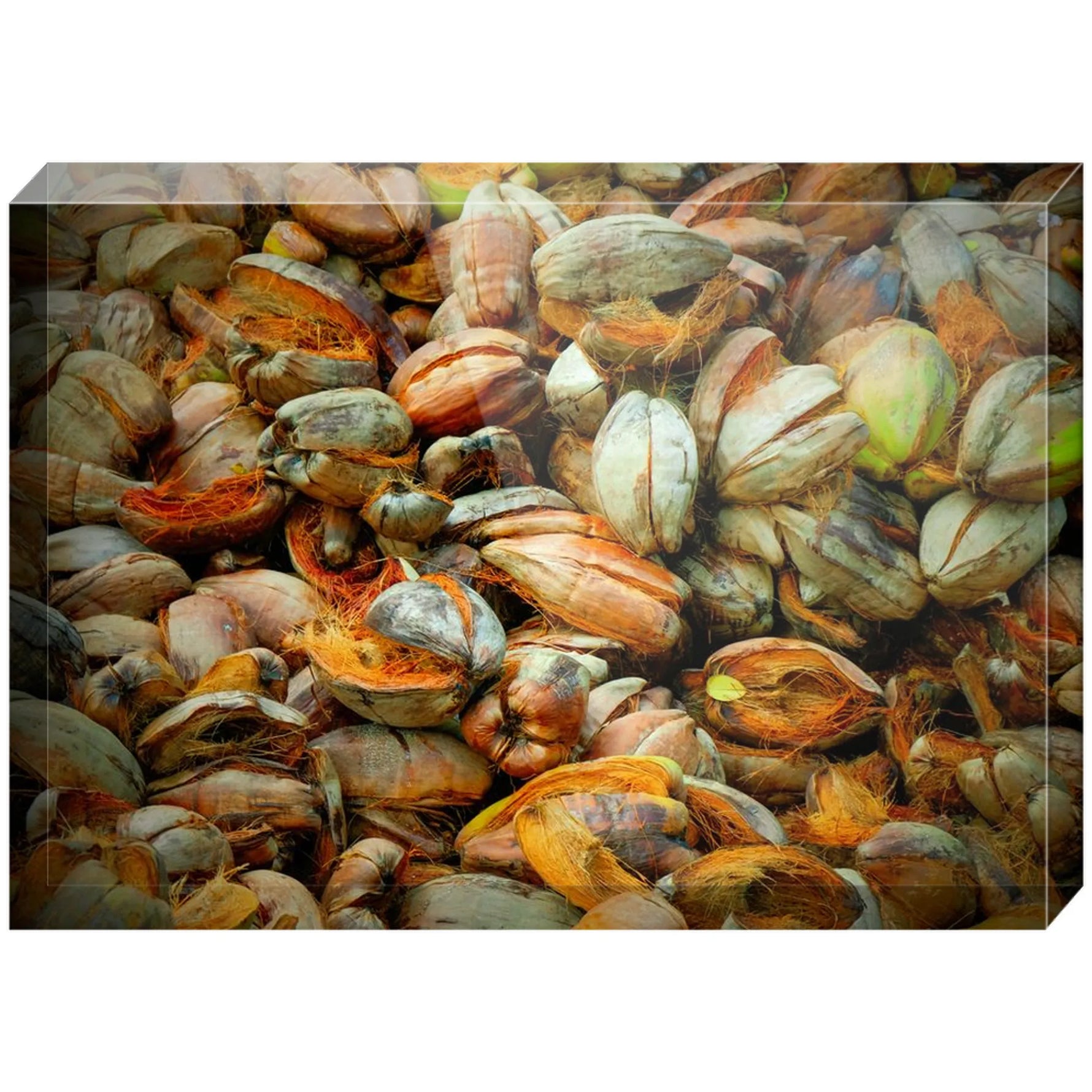 Joseph Regan Art Acrylic Blocks - Pack Of: 1