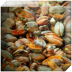 Joseph Regan Art Acrylic Blocks - Pack Of: 1