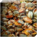 Joseph Regan Art Acrylic Blocks - Pack Of: 1