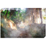 Joseph Regan Art Acrylic Blocks - Pack Of: 1