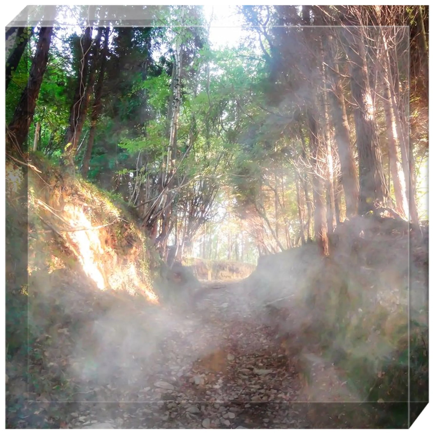 Joseph Regan Art Acrylic Blocks - Pack Of: 1