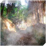 Joseph Regan Art Acrylic Blocks - Pack Of: 1