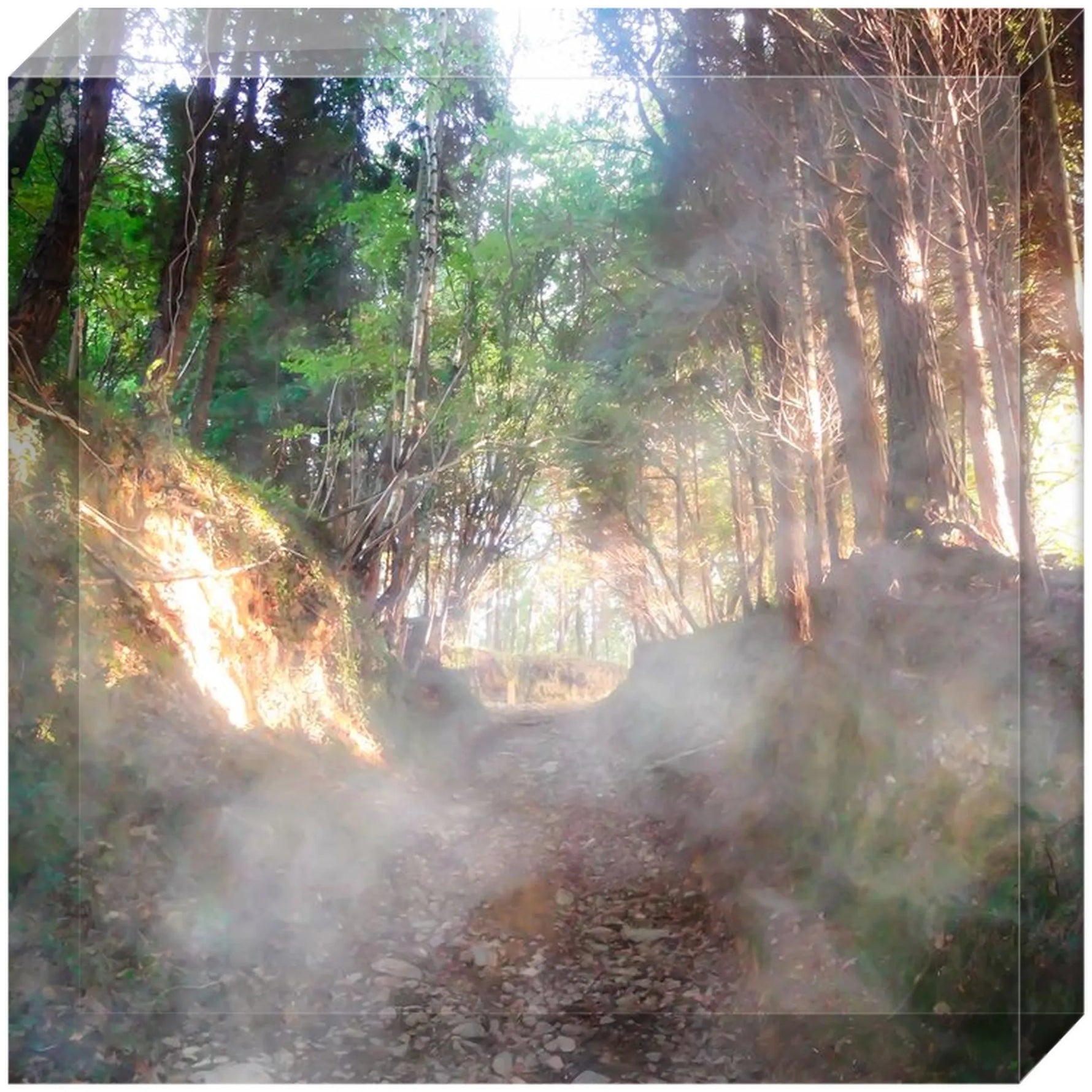 Joseph Regan Art Acrylic Blocks - Pack Of: 1