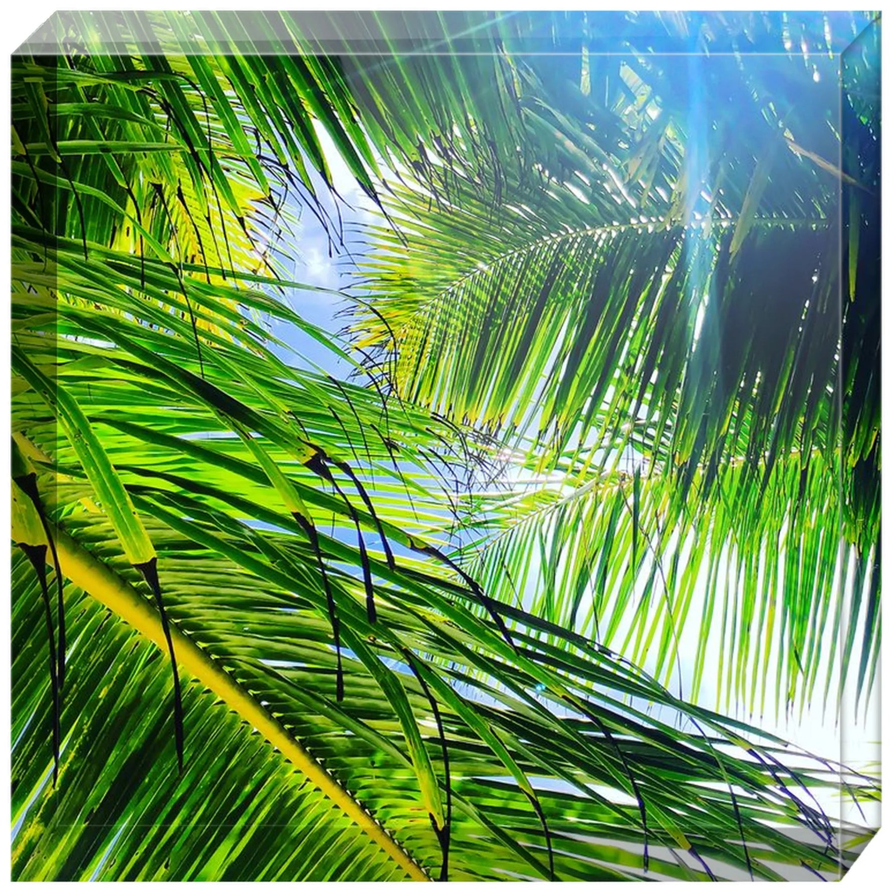 Joseph Regan Art Acrylic Blocks - Pack Of: 1