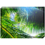 Joseph Regan Art Acrylic Blocks - Pack Of: 1