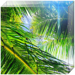 Joseph Regan Art Acrylic Blocks - Pack Of: 1