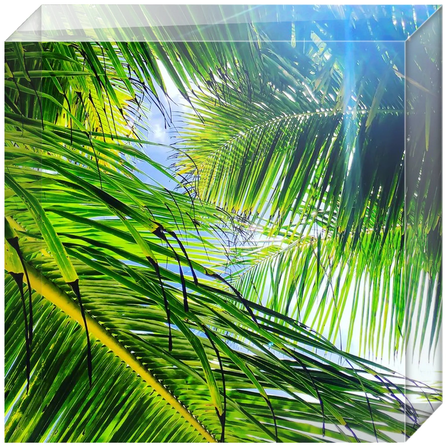 Joseph Regan Art Acrylic Blocks - Pack Of: 1