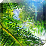 Joseph Regan Art Acrylic Blocks - Pack Of: 1