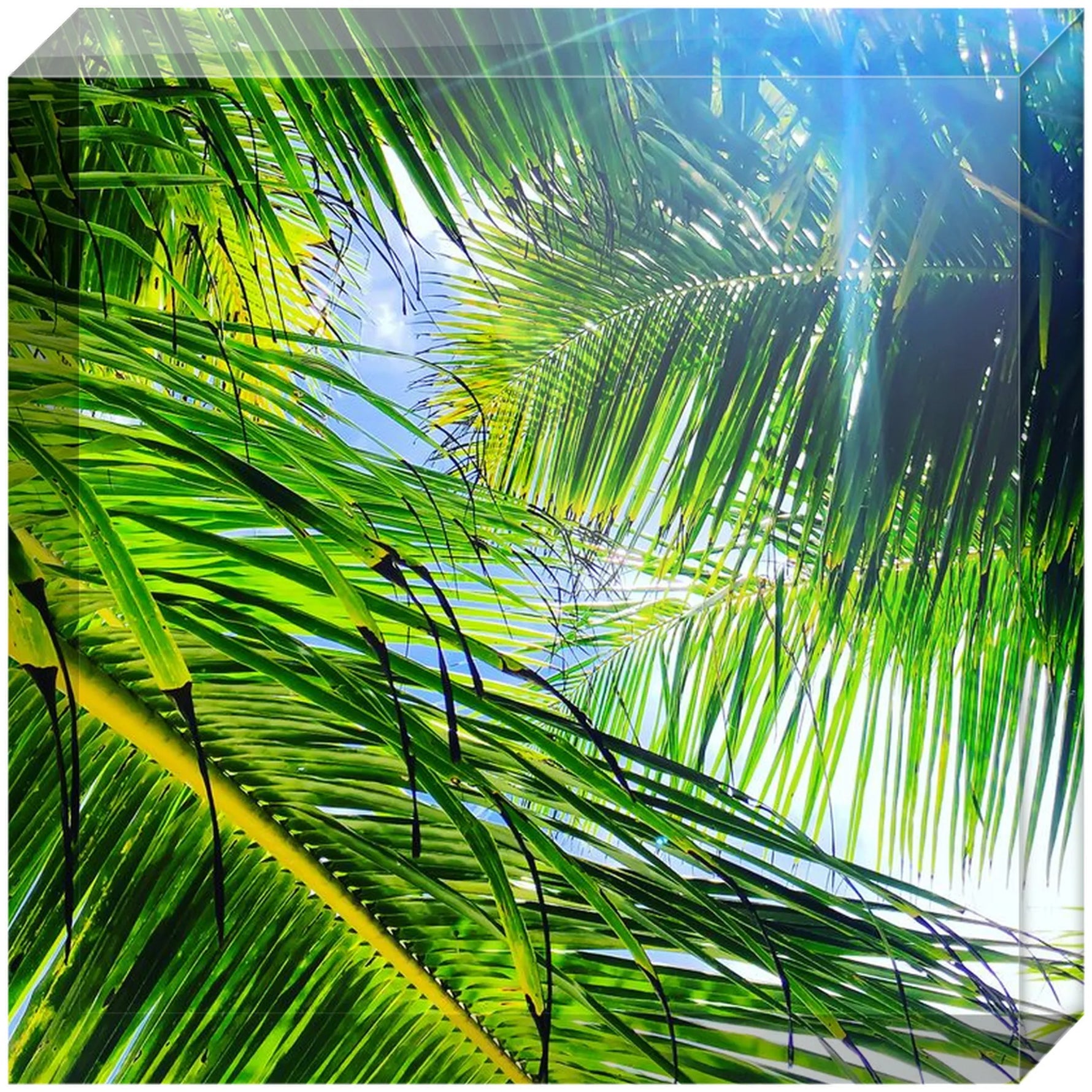 Joseph Regan Art Acrylic Blocks - Pack Of: 1