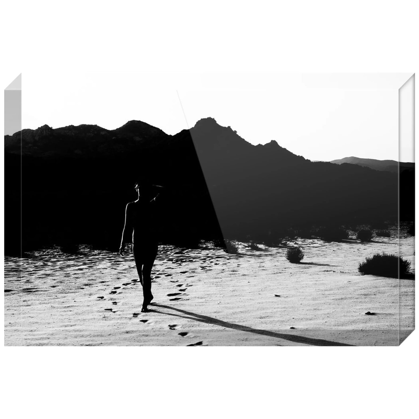 Joseph Regan Art Acrylic Blocks - Pack Of: 1