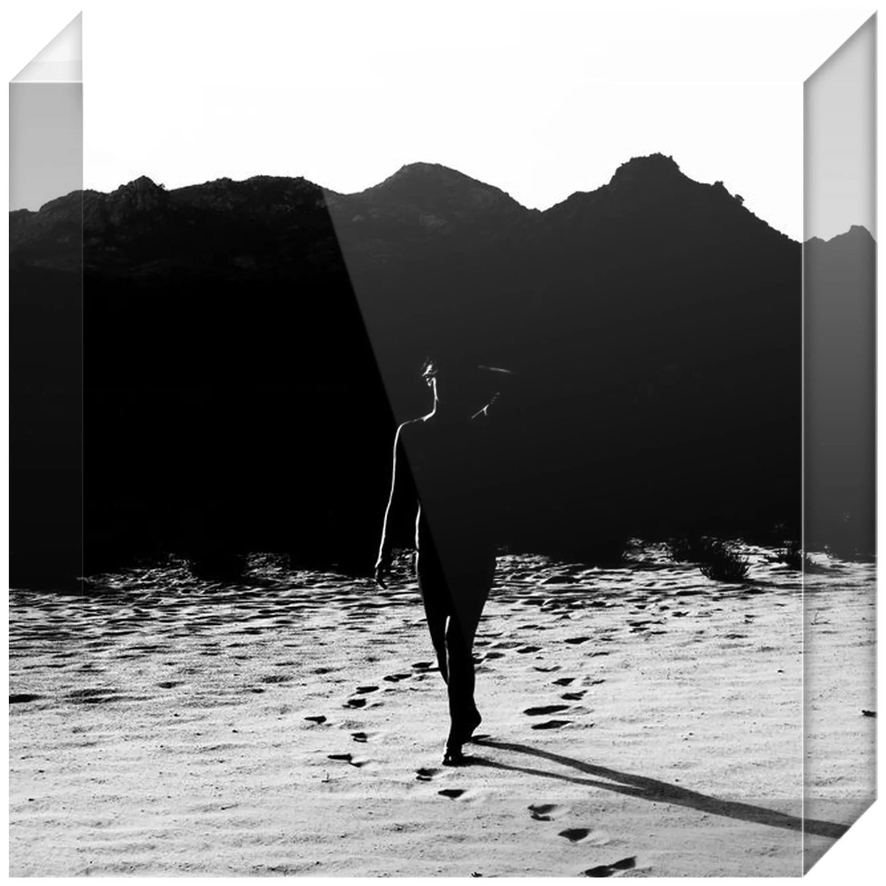 Joseph Regan Art Acrylic Blocks - Pack Of: 1