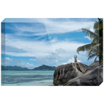 Joseph Regan Art Acrylic Blocks - Pack Of: 1