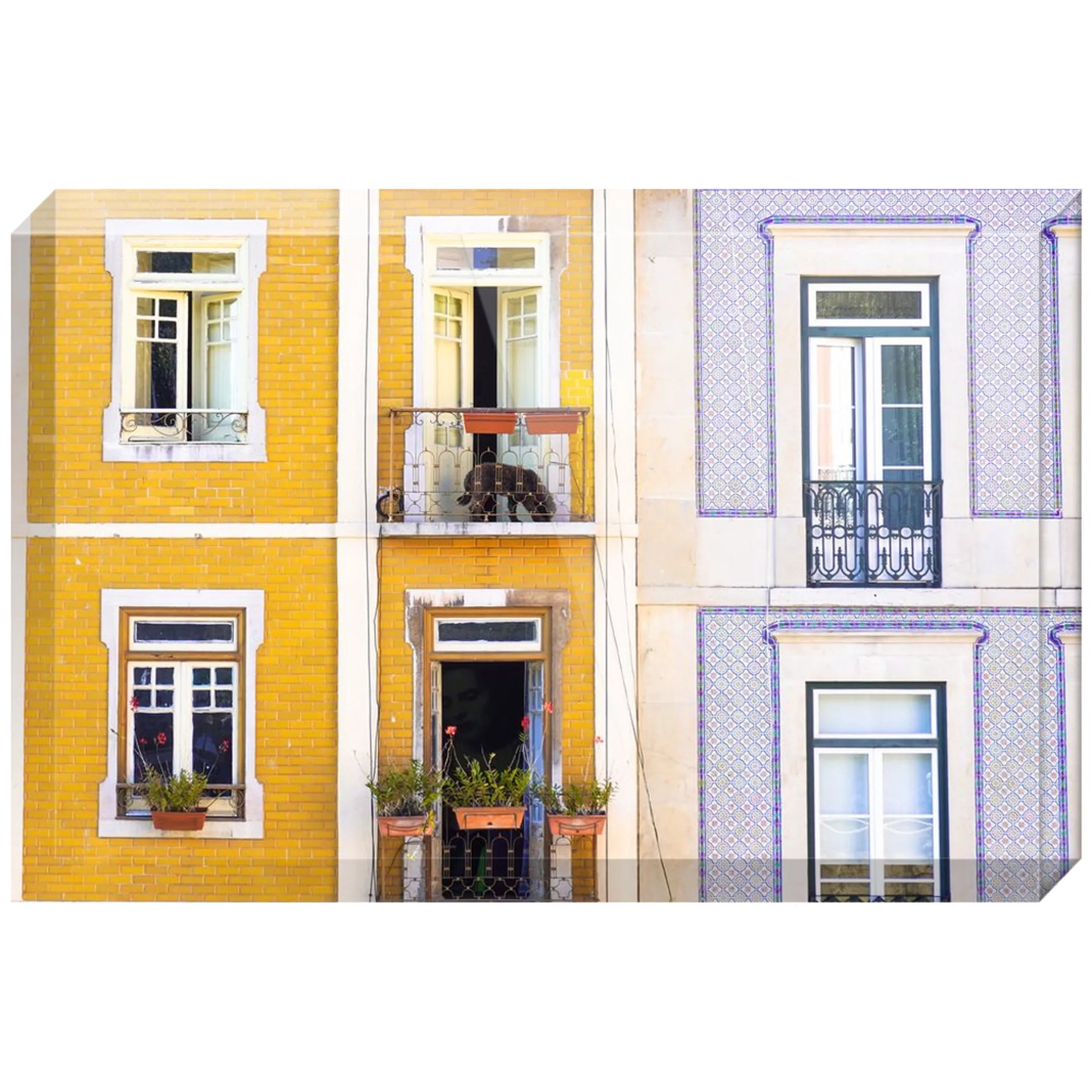 Joseph Regan Art Acrylic Blocks - Pack Of: 1