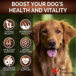 2 Pack Mushroom for Dogs 340 Chews Chicken Tail Mushroom - 30-In-1 Chews-AMAZON FACTORY
