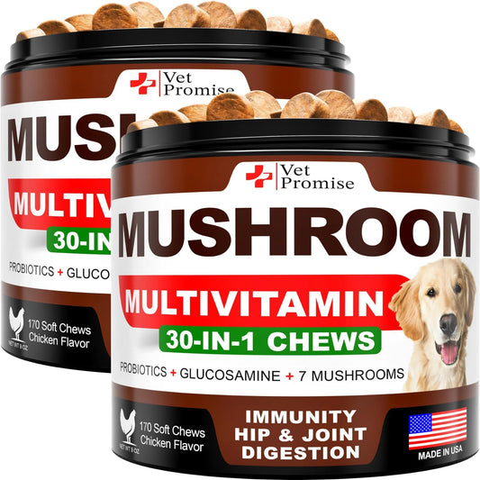 2 Pack Mushroom for Dogs 340 Chews Turkey Tail Mushroom - AMAZON FACTORY