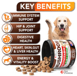 2 Pack Mushroom for Dogs 340 Chews Chicken Tail Mushroom - 30-In-1 Chews-AMAZON FACTORY