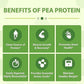 Vegan Pea Protein Isolate (Chocolate)