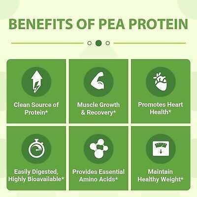 Vegan Pea Protein Isolate (Chocolate)