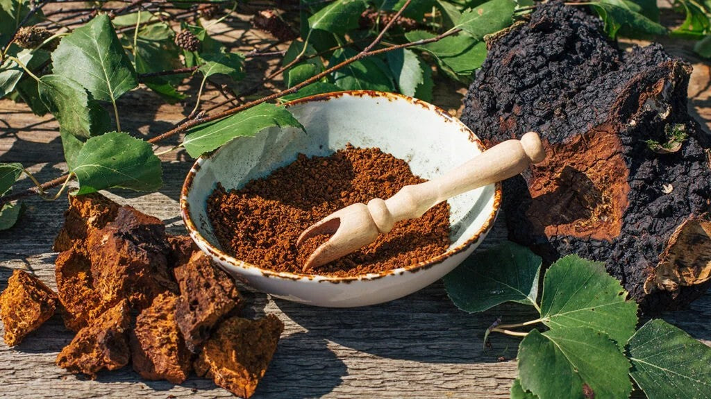 Birch Chaga Microbiome Wellness Capsules